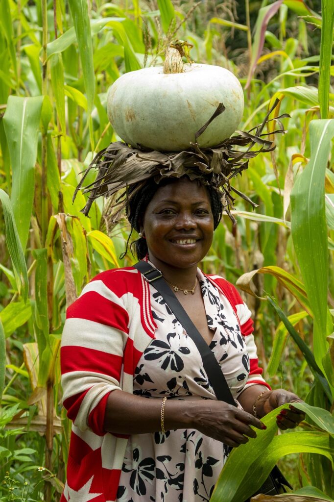 woman, corn field, african woman, nature, agriculture, smiling, poc, bipoc, farming, african woman, african woman, african woman, african woman, african woman